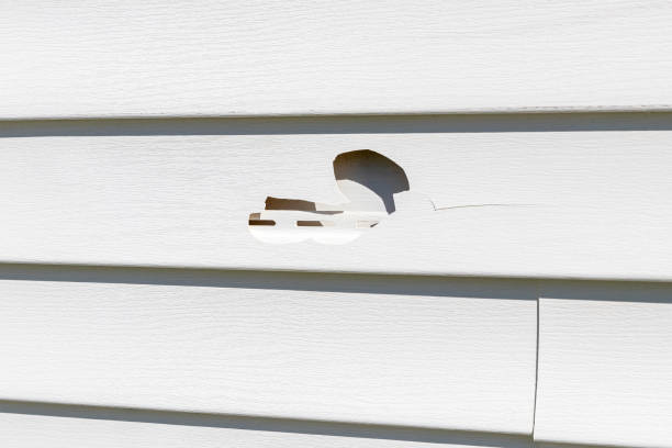 Best Same-Day Junk Removal Services  in Caldwell, OH