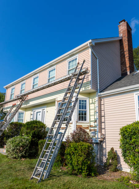 Shed Removal in Caldwell, OH